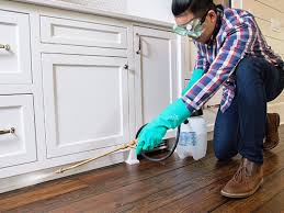 Best Residential Pest Control  in Marshfield, WI